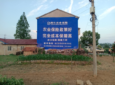 旬邑墙体广告为何受追捧？